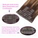 24 Real Human Hair Clip-In Extensions, 120g Ombre Chocolate Brown to Caramel Blonde - Long Straight Thick Hair - 9pcs 24 Inch - Pack of 1 - Buy Online on GoSupps.com