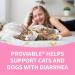 Nutramax Proviable Health Supplement for Cats and Dogs - 80 Count - Buy Online on GoSupps.com
