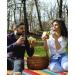 JEAOUIA Waterproof Foldable Picnic Blanket - Large 79x79 inch, 3-Layer Material, Sandproof & Portable - Ideal for Camping, Beach, Park, Travel - Fits 3-6 Adults - Buy Online on GoSupps.com