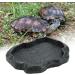 Hffheer Reptile Food Water Dish Durable Reptile Rock Feeder Bowl Tortoise Lizard Resin Water Bowl Reptile Terrarium Food Dish (M-Black) M Black - Buy Online on GoSupps.com