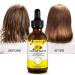 Organic Sunflower Seed Oil for Hair Growth, Scalp Nourishment, and Anti-Breakage - 2 Bottles - Buy Online on GoSupps.com