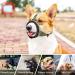 Heele Adjustable Dog Muzzle with Head Belt | Chew-Proof & Comfortable | Fits Medium & Large Dogs | Green (1 Pack) - Buy Online on GoSupps.com
