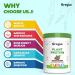Gregus Lean Muscles Vegan Protein - Plant-Based Protein for Women & Men (400g Cold Coffee) - 11 Servings - Ideal for Fitness & Weight Management - Buy Online on GoSupps.com