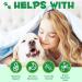 Natural Deworming Treatment for Dogs | 60ml Wormwood Drops | Bacon Flavor - Buy Online on GoSupps.com