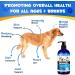 Alaskan Salmon Oil for Dogs & Cats (8.8 oz) - Pure Omega 3 Fish Oil with Omega 6 Fatty Acids EPA & DHA - Anti-inflammation for Dogs Skin and Coat - Natural Pet Joint Immune Brian & Heart Supplement Salmon Oil(250ML) - Buy Online on GoSupps.com