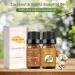 Sedbuwza Vanilla Coconut Essential Oil Set | Aromatherapy Diffuser Massage & Soap Making | 2 x 10ml - Buy Online on GoSupps.com