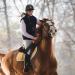 BAVIHOR 19'' Riding Crop for Horses - Anti-Slip Equestrianism Crops, Black - Buy Online on GoSupps.com