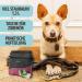 PetLove Treat Bag for Dogs - Pink Food Bag with Magnetic Closure & Poop Bag Dispenser | Stylish Bum Bag for Pet Owners - Buy Online on GoSupps.com