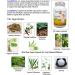 Candida Cleanse. Natural Yeast Overgrowth Cleanse and Balance Support Formula for Women. 120 Vegan Capsules. - Buy Online on GoSupps.com