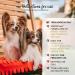 Yuup! Detangling Conditioner for Dogs 250ml - Best Detangler for Smooth Fur | International Shipping - Buy Online on GoSupps.com