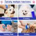 4 Piece Rabbit Grooming Kit: Brush, Hair Remover, Nail Clipper, Double-Sided Comb, Shampoo Bath Brush - Ideal for Rabbits, Hamsters, Guinea Pigs - Type B - Buy Online on GoSupps.com