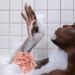 Lurrose Mermaid Tail Bath Loofah Sponge | Exfoliating Shower Scrubber for Women and Men - Pink - Buy Online on GoSupps.com