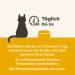 Applaws 100% Natural Wet Food for Cats - Chicken Breast & Pumpkin in Broth (24 x 156g Cans) - Premium Cat Food Delivered Worldwide - Buy Online on GoSupps.com
