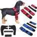 PETCUTE Dog Hock Brace for Dogs Knee Pads Dog Rear Leg Support Dog for Injury Arthritis Healing(1 Pair) - Buy Online on GoSupps.com