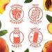 Humm Probiotic Kombucha Zero Sugar Peach Tea - 11oz Cans (16 Pack) | No Refrigeration | Keto, Organic, Vegan, Gluten-Free - Buy Online on GoSupps.com