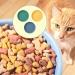 6 PCS Cat Bowls Cat Plate Cat Food Bowl Cat Food Dish Shallow Pet Bowls Kitten Food Bowl Cat Food Plate for Cats Fatigue Free Cat Feeding Bowls for Kittens and Small Animals Flat Cat Bowl - Buy Online on GoSupps.com