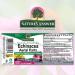 Nature's Answer Echinacea Liquid Drops - Organic Immune Support, Non-GMO, Gluten-Free, 1 oz - Buy Online on GoSupps.com