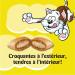 TEMPTATIONS Adult Cat Treats Hearty Beef Flavour 454g Tub Cat Treats Beef 454 g (Pack of 1) - Buy Online on GoSupps.com