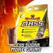 MAMMOTH MASS: Weight Gainer High Calorie Protein Powder Workout Smoothie Shake Meal Replacement & Creatine 300gm SUPPLEMENT + SUPPLEMENT 15331 6.8 kg (Pack of 1) - Buy Online on GoSupps.com