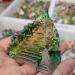180-200g top!Quartz Rainbow Titanium Bismuth Specimen Cluster Stone JZIGTDEM - Buy Online on GoSupps.com