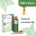 PHATOIL Spearmint Essential Oil 10ml - Pure Natural & Cruelty-Free for Aromatherapy - Pack of 1 - Buy Online on GoSupps.com