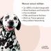 Amusi Neem l Tick Spray for Dogs 250ml | Natural Vegan Tick Protection Insect Spray - Paraben & Nickel Free - Buy Online on GoSupps.com