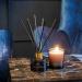 Ted Sparks Moss & Sandalwood Set | Luxury Soy Wax Candle & Diffuser | Long-Lasting Fragrance | International Shipping - Buy Online on GoSupps.com