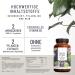 NaturTreu Evening Ritual Complex - High Dose GABA Capsules with Valerian Tryptophan & Hops - 90 Vegan Capsules No Additives - Buy Online on GoSupps.com