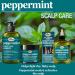 Difeel Peppermint Scalp Care Hair Oil 2.5 oz - Nourishing Hair Treatment - Buy Online on GoSupps.com