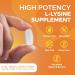 High Strength L-Lysine 1000mg 180 Vegan Tablets | Essential Amino Acid for Growth & Muscle | Made in UK by Northumbria Health - Buy Online on GoSupps.com
