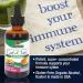 Nature's Answer Cat's Claw Bark 1000 mg â€“ Organic Immune Booster & Digestive Support, 2 oz - Buy Online on GoSupps.com
