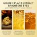 Valentines Day Gift: 60 PCS 24K Gold Eye Mask with Collagen and Avocado Extract - Eliminate Dark Circles, Wrinkles, Puffiness - Buy Online on GoSupps.com