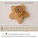 Suwooy Children Cabinet Handles - 6 Piece Wooden Furniture Hardware | Star Moon & Cloud Drawer Pulls for Wardrobe & Kitchen with Screws - Buy Online on GoSupps.com