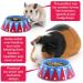 HAYPIGS Guinea Pig Bowl - Circus Themed Junior Mini Food Bowl for Small Animals | Craving Tamer Hedgehog, Hamster, Guinea Pig Bowl - Buy Online on GoSupps.com