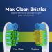 Oral-B Bacteria Blast Toothbrush, Soft, 4 Count (Pack of 2), Green,yellow