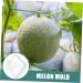 Milisten 2pcs Fruit Shaping Mold Fruits Small Fruit Mold Shaper Mold Fruit Accessory Accessories Vegetable - Buy Online on GoSupps.com