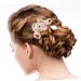 Beaupretty the comb flower pearl hairpins wedding headwear chinese hairpin kimono hair barrettes flower tassel clip cheongsam hair accessories hanfu hair clip the flowers set Accessories - Buy Online on GoSupps.com