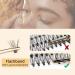 Individual Cluster Eyelashes QUEWEL - 240 Pieces 0.07C Curl DIY Eyelash Extensions Natural Look Mix 8-14mm (20D+30D) - Buy Online on GoSupps.com