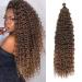 Deep Twist Crochet Hair Waterwell Twist Hair bundle Synthetic curly braided hairstyle hair extension ombre kinky curl braided hair part 22 inch 6 packs 22inch-6PCs T4/10#