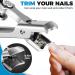 Premium Toenail Clippers for Men & Seniors | No Splash Nail Clippers with Catcher | Wide 17mm Opening for Thick Nails - Mess Free Design - Buy Online on GoSupps.com