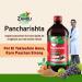 Zandu Pancharishta 650ml - Ayurvedic Digestive Tonic for Acidity Constipation & Gas Relief | Boost Digestive Immunity - International Shipping Available - Buy Online on GoSupps.com