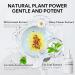 LANBENA Pore Minimizer Serum Pore Minimizer & Reducer for Face Minimizing Shrinking Oil Control Firming Tightening Pores 100% Vegan Pore Moisture after Blackhead Remover 1.05 fl.oz - Buy Online on GoSupps.com