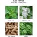 Nest Fragrances Wild Mint & Eucalyptus Liquid Hand Soap - 10 Fl Oz - Buy Online on GoSupps.com