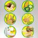 Vegan Protein Cheat Sheet Magnet - Plant Based Diet Muscle Building Guide - A Healthy Nutrition Reference for Vegetarian and Vegan Diets - Buy Online on GoSupps.com