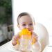Dr. Brown's Milestones Baby's First Straw Cup 2 Pack - Dark Blue & Vintage Yellow 9oz/270ml - BPA Free | For 6m+ | Sippy Cup with Straw - Buy Online on GoSupps.com