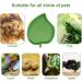 Reptile Food Water Bowls 2 Pack Tortoise Food Bowl Reptile Feeder Tortoise Water Bowl Reptile Food Water Plate Dish Plate for Crawl Pet Tortoises or Small Reptiles Drinking and Eating 2 Sizes - Buy Online on GoSupps.com
