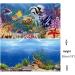Hidom Aquarium Background Poster Double Sided - Height 19" / 50cm - Length 3 FT / 92cm - Two Scenic Pictures displaying Aquatic Backdrops - DS 500-9093/9094-3 3 FT (92cm) - Buy Online on GoSupps.com