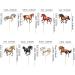 Blumomon Horse Cupcake Toppers Assembled Horse Racing - Pack Of 32 - Buy Online on GoSupps.com