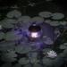 Buy Nexos Trading 3 Set Solar Floating Ball LED Lamps - Pond Lighting - 11x11x11.5 cm - White Solar Lanterns for Outdoor Decor - Buy Online on GoSupps.com