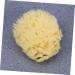 Healeved Bath Sponge Sponges Bath Shower Sponge Seaweed Sponge Natural Algae Sponge - Buy Online on GoSupps.com